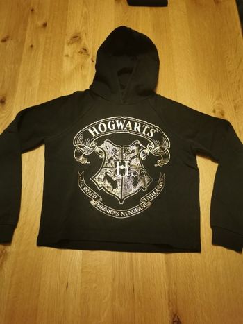 Pull à capuche Harry Potter