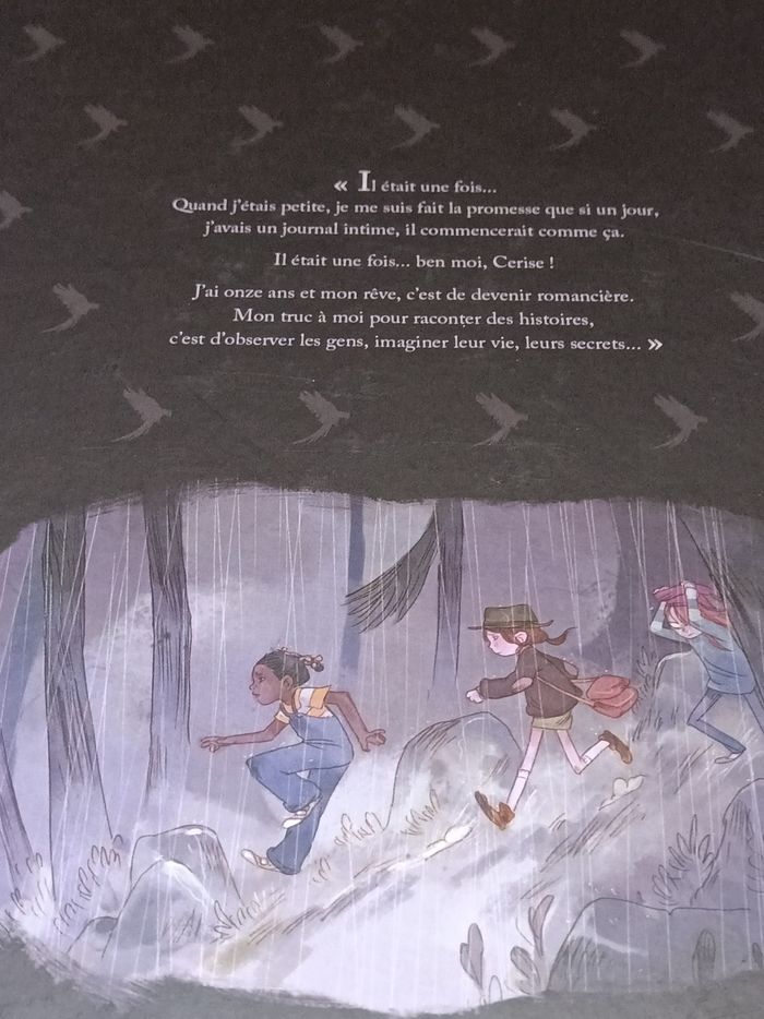 Les carnets de cerise tome 1 le zoo pétrifié par Joris Chamblain - photo numéro 2