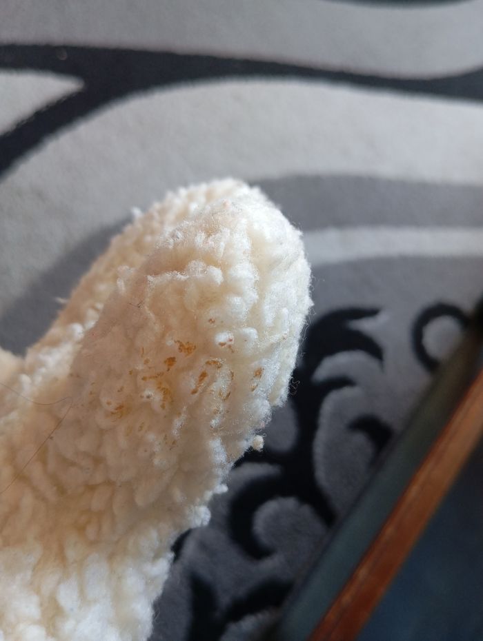 Peluche. - photo numéro 3