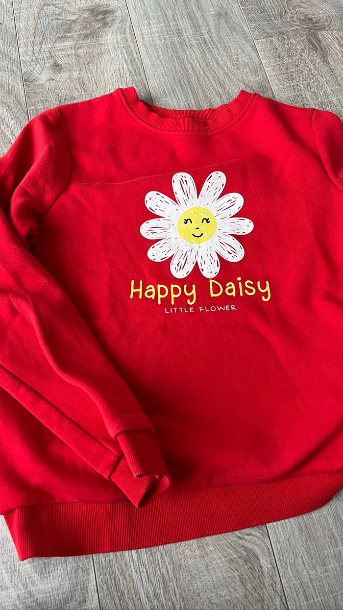 Lot de sweatshirts fille 12 ans - photo numéro 6