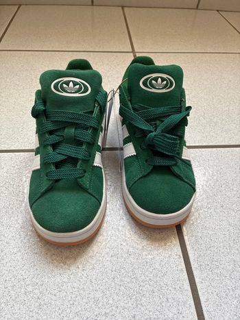 Adidas campus verte