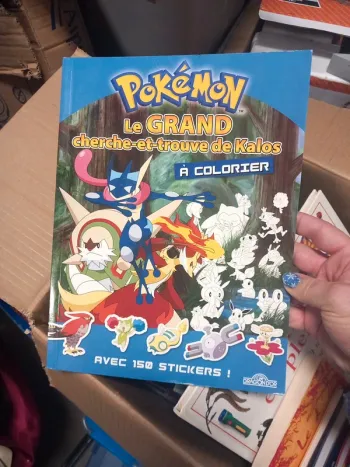 Pokemon cherche et trouvé avec stickers