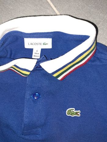 Polo lacoste
