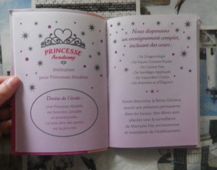 2 Princesse Academy (Charlotte et Daisy) Bibliothèque Rose - photo numéro 4