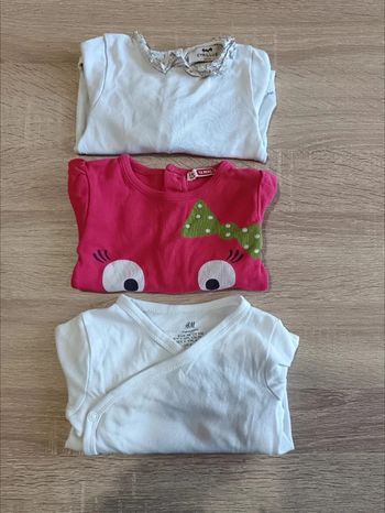 C44 Lot bodies 12 mois