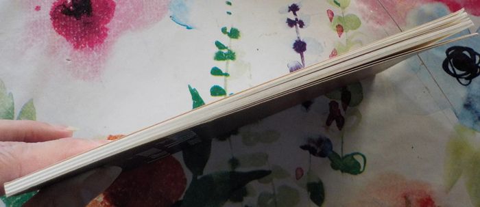 Une nuit avec Marilyn de Alina Reyes Ed. Zulma - photo numéro 5