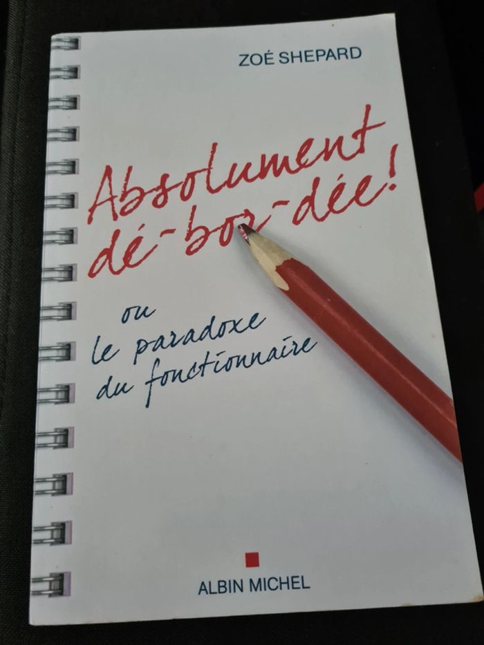 Livre absolument débordée