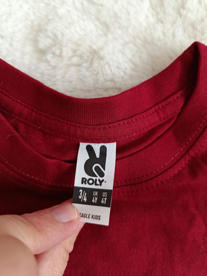 Tee shirt 3-4 ans Amsterdam roly - photo numéro 2