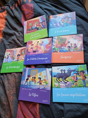 Petits livres Hachette le musée magique