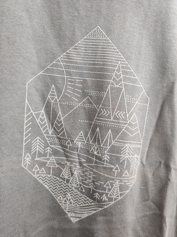 Tee-shirt gris 6 ans - photo numéro 2