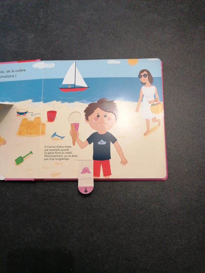 Livre à volets à soulever, languette à tirer - photo numéro 6