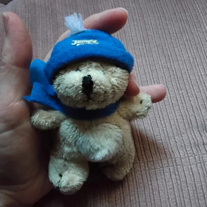 Mini ours - photo numéro 4