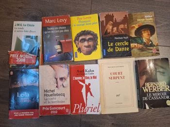 Lot de 10 livres