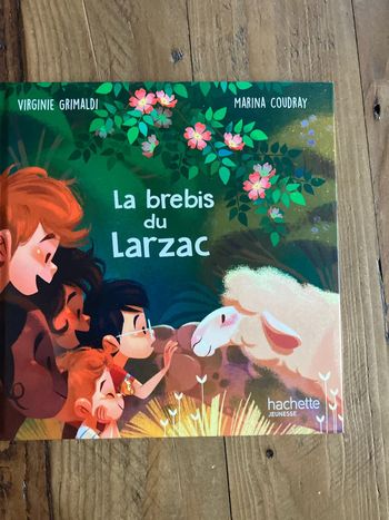 Livre les brebis du larzac