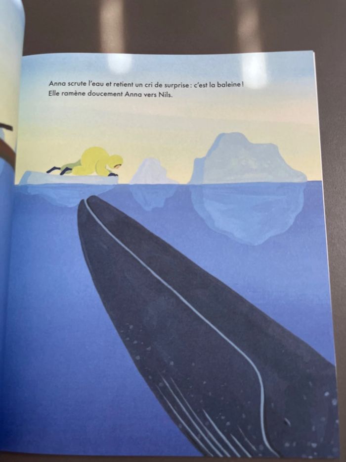 Livre la mystérieuse baleine - photo numéro 6