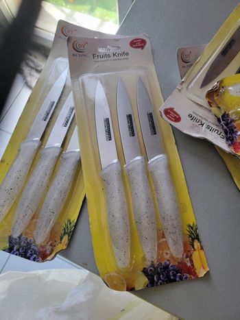 Coûteau de table neuf