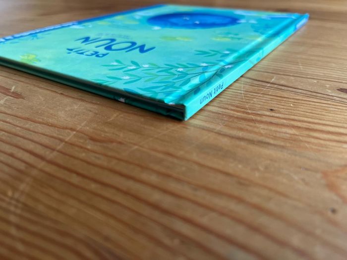 Livre Petit Noun - photo numéro 4