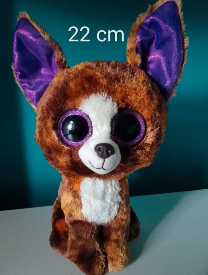 Renard ty