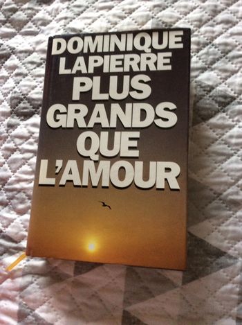 #plus grands que l’amour Dominique Lapierre