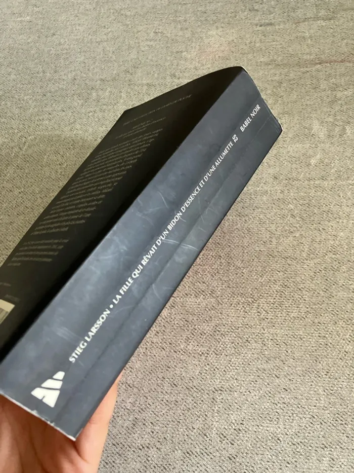Millénium tome 2 : La fille qui rêvait d’un bidon d’essence et d’une allumette – Stieg Larsson - photo numéro 4