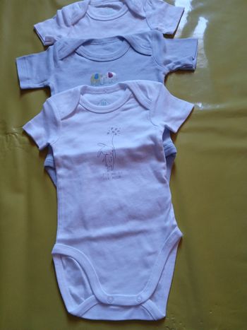lot de 3 bodies garcon manches courtes tex baby 6 mois 