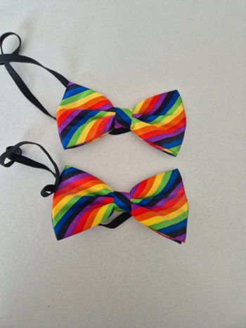 Nœud papillon multicolor