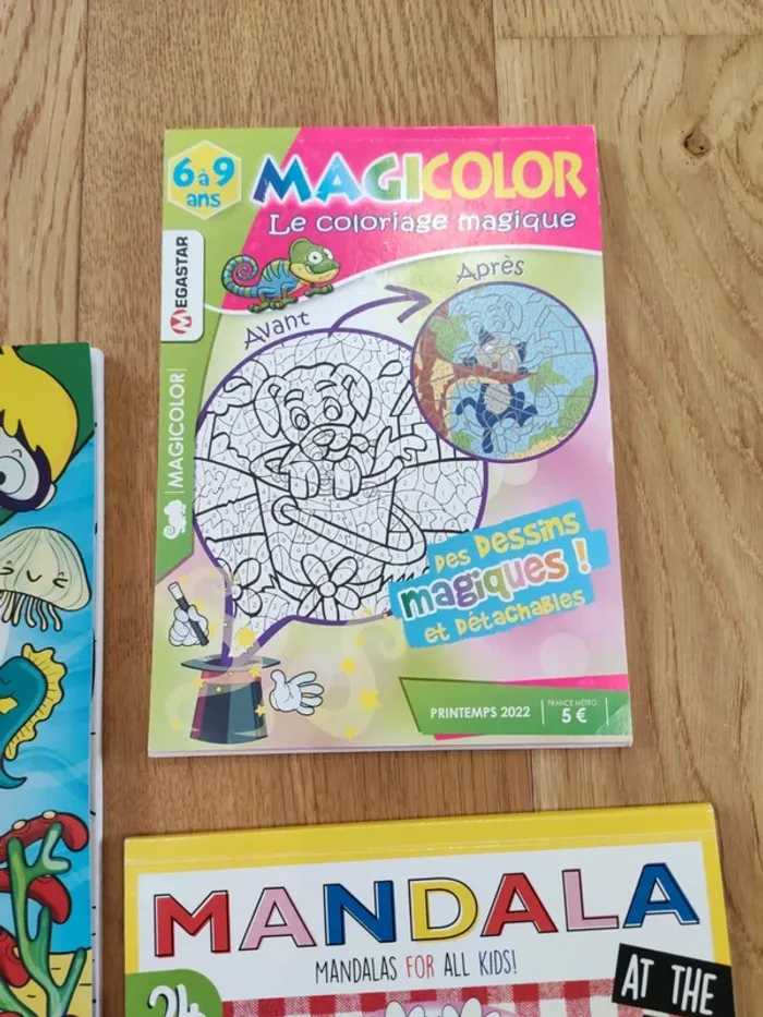 Lot 3 livres de coloriage - très bon état - photo numéro 3