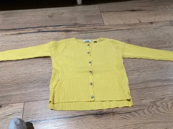 Gilet jaune
