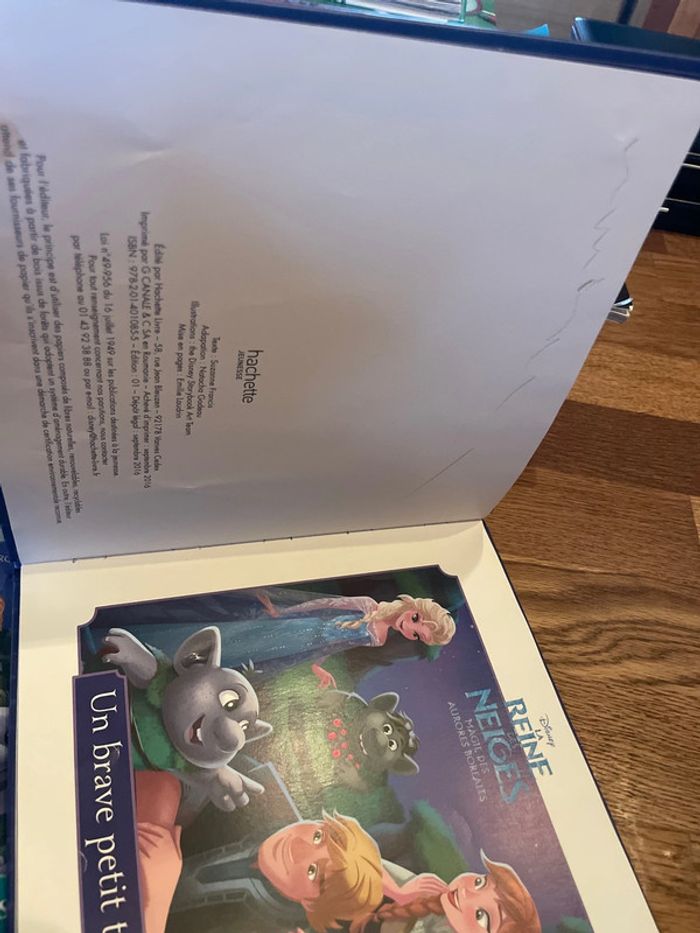 Livre La reine des neiges Magie des aurores boréales Un brave petit troll - photo numéro 8