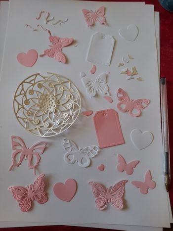 Lot decoupe rose blanc creme A2