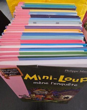 Lot de 19 livres mini loup