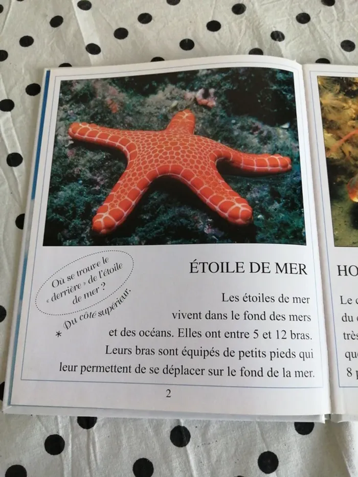Livre de découverte animaux marins et aquatiques / le ballon - photo numéro 3