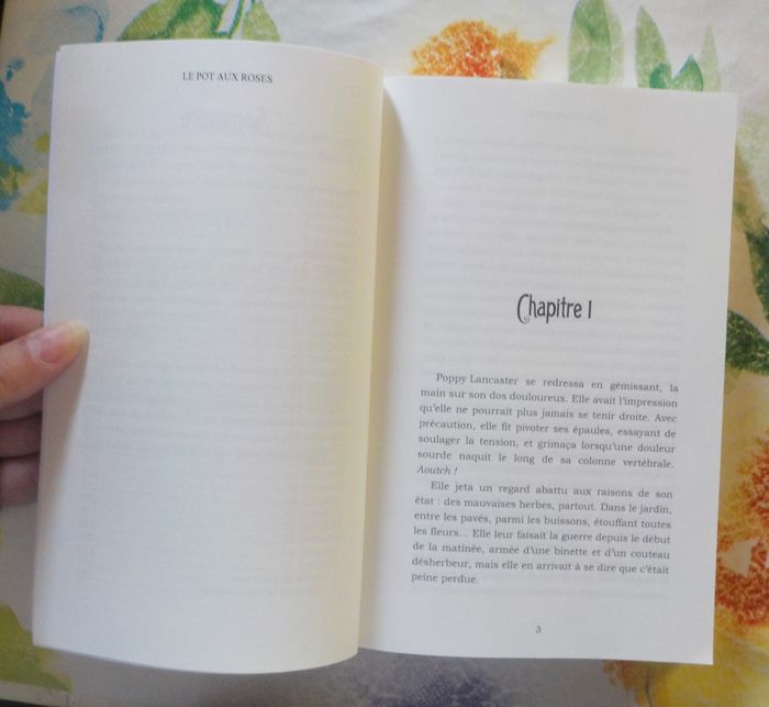 LE POT AUX ROSES T2 PETITS CRIMES ET JARDIN SECRET de H.Y. HANNA - photo numéro 6