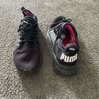 Basket puma