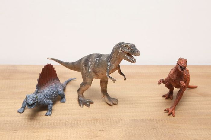 Lot dinosaures
