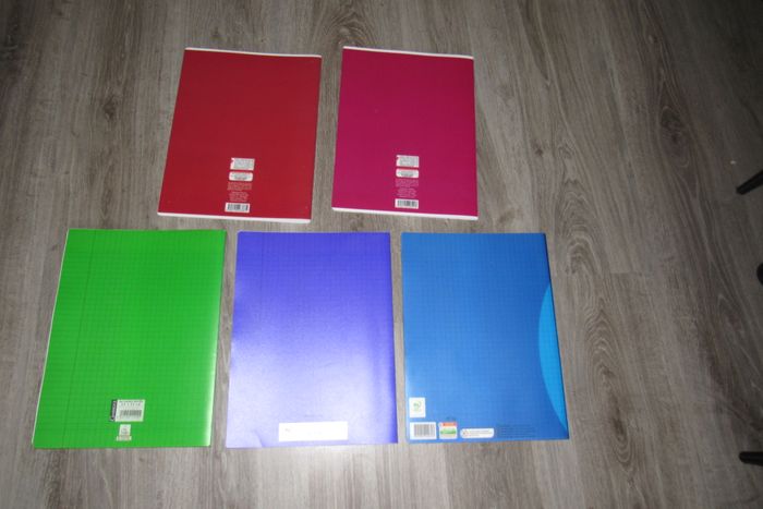 LOT DE 5 GRANDS CAHIERS - FORMAT 24 x 32 CM - n°25 - photo numéro 2