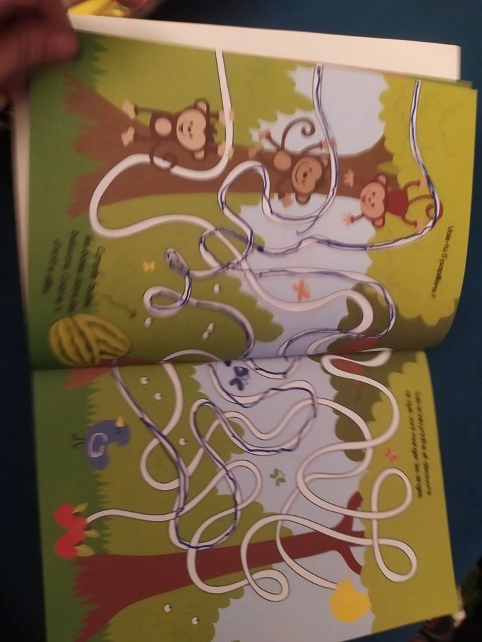 Livre d'activités - photo numéro 5