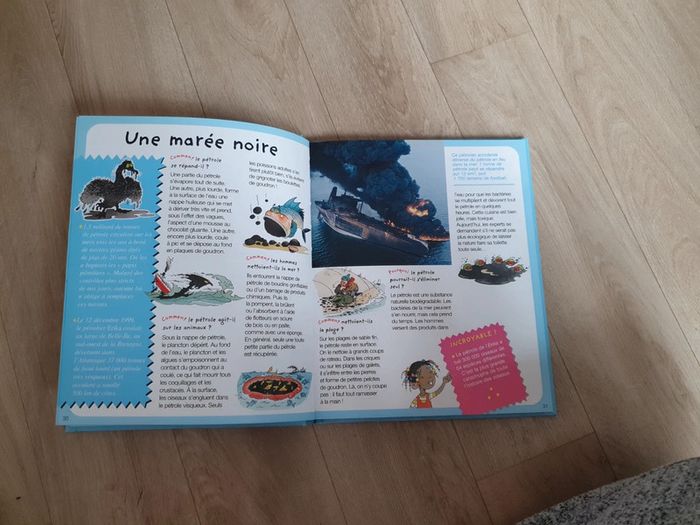 Livre l imagerie pourquoi comment l écologie - photo numéro 3