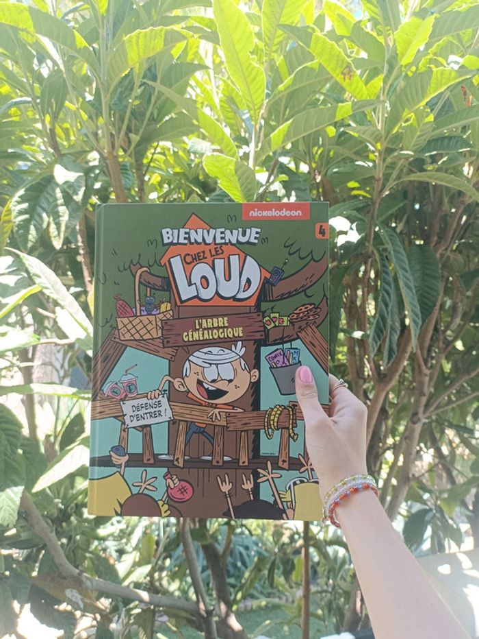 Bd Bienvenue chez les Loud l'arbre généalogique