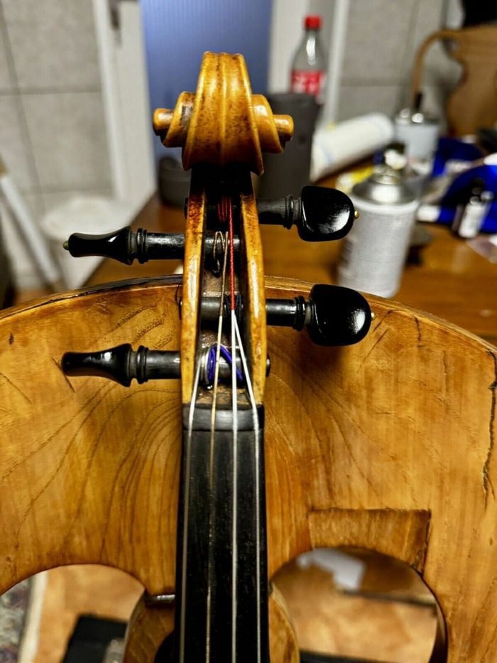 Violon 4/4  signé Alfred - photo numéro 6