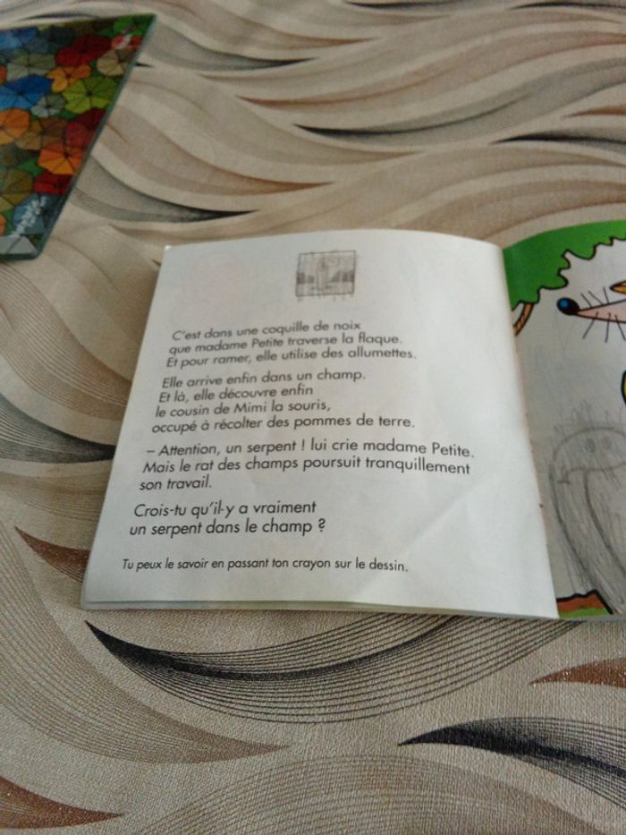 Livre, la petite histoire de Madame petite - photo numéro 14