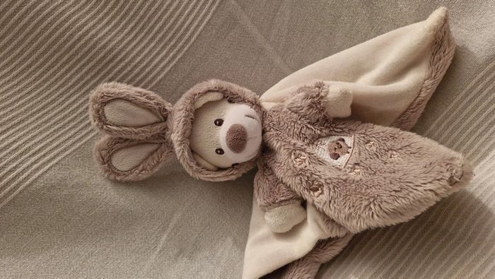 Doudou plat Ourson déguisé  en lapin - photo numéro 5