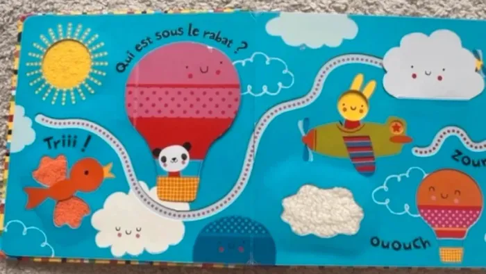 Livre : avec mon doigt: Qui se cache sous le rabat