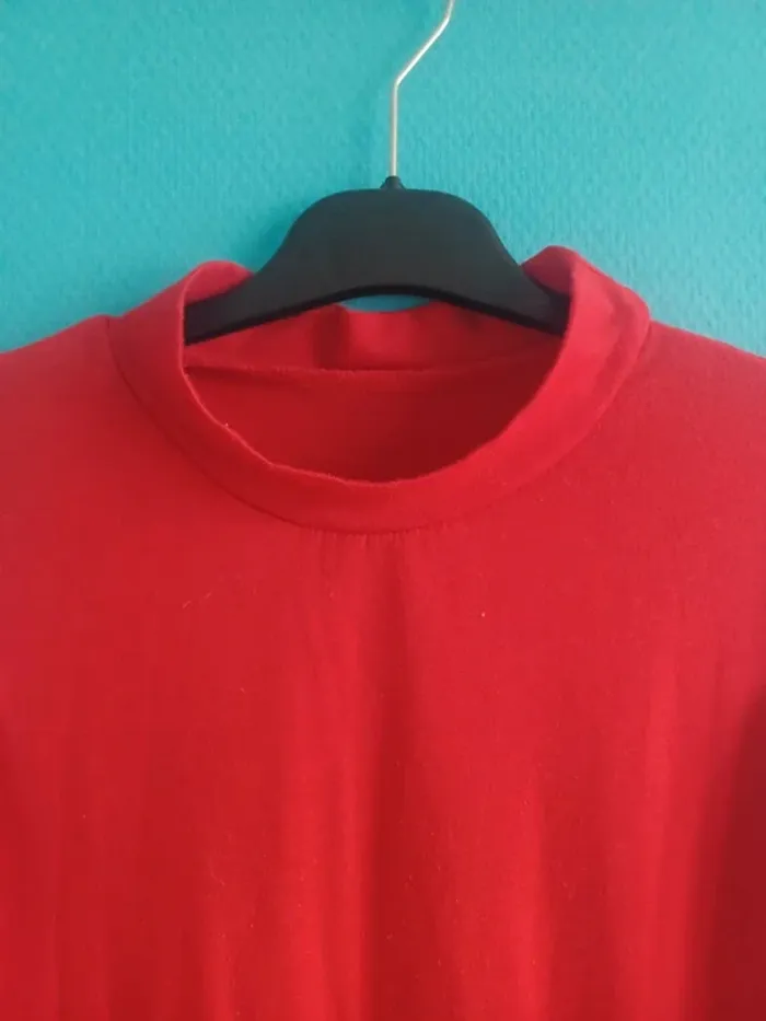 Tunique - photo numéro 3