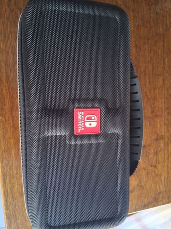 Valise nintendo switch
