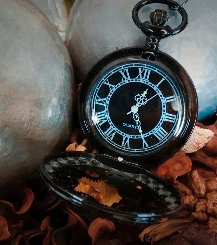 A30 montre à gousset rétro vintage originale bronze noire - photo numéro 2