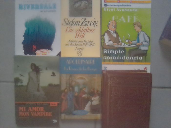 Livres en anglais, allemand, espagnol et italien. - photo numéro 5