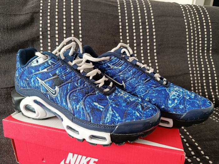 TN bleue