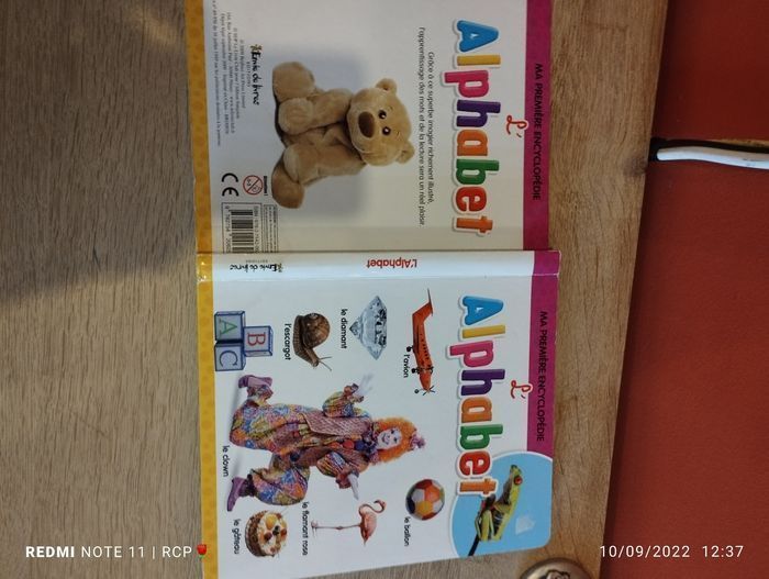 Livre  alphabet - photo numéro 8