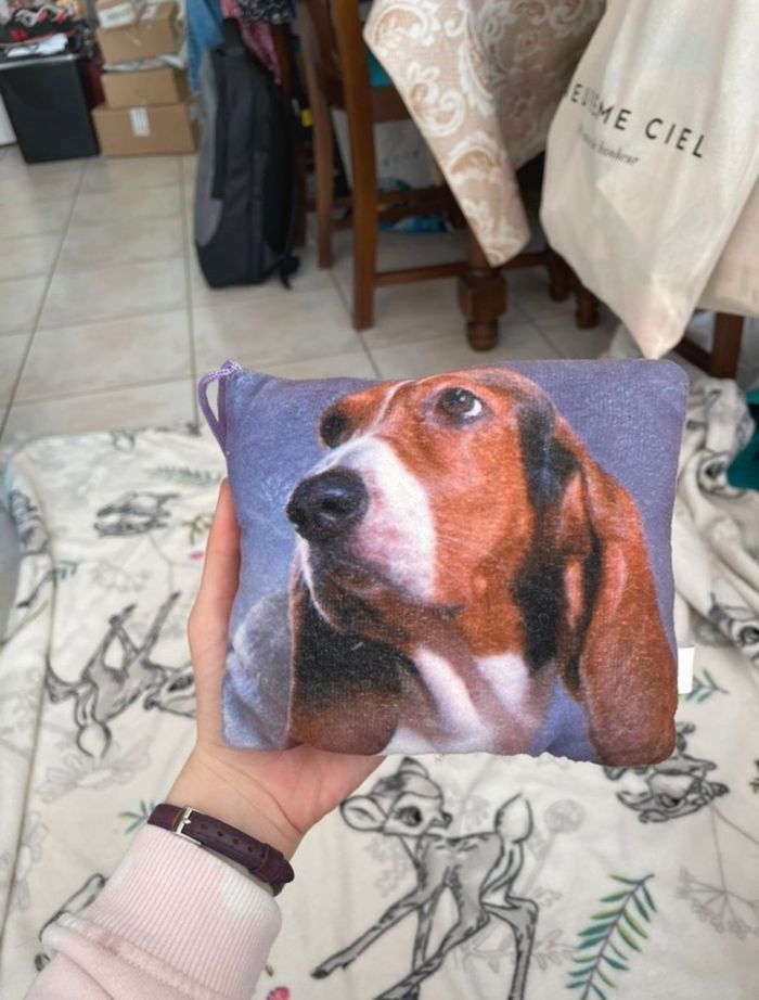 Petit coussin chien.